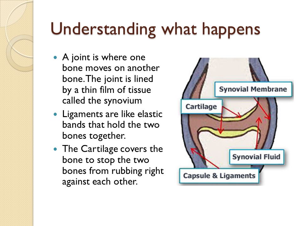 Understanding what happens A joint is where one bone moves on another bone.
