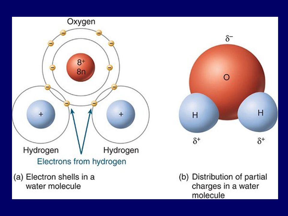 Diferencia molecula y atomo