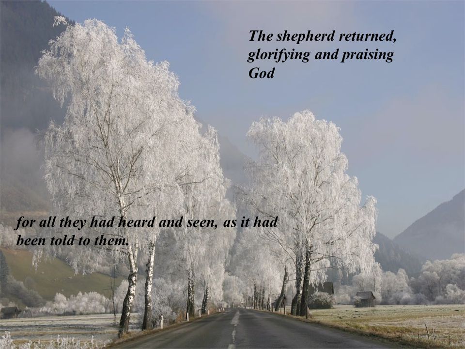 And all whom heard it were amazed at what the shepherds told them.