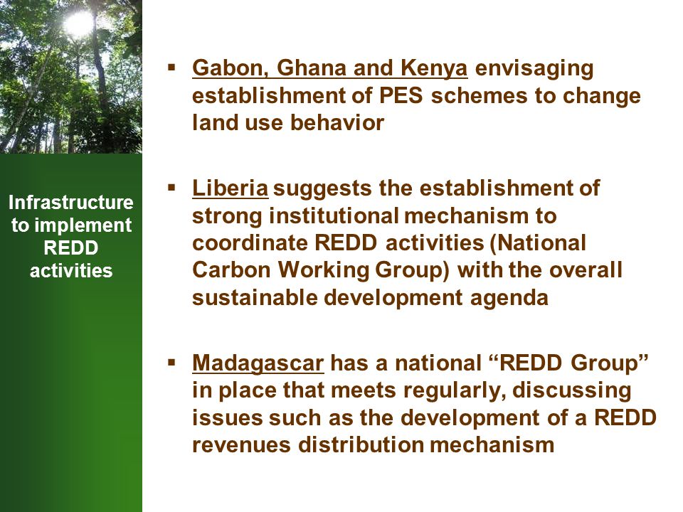 Infrastructure to implement REDD activities  Gabon, Ghana and Kenya envisaging establishment of PES schemes to change land use behavior  Liberia suggests the establishment of strong institutional mechanism to coordinate REDD activities (National Carbon Working Group) with the overall sustainable development agenda  Madagascar has a national REDD Group in place that meets regularly, discussing issues such as the development of a REDD revenues distribution mechanism