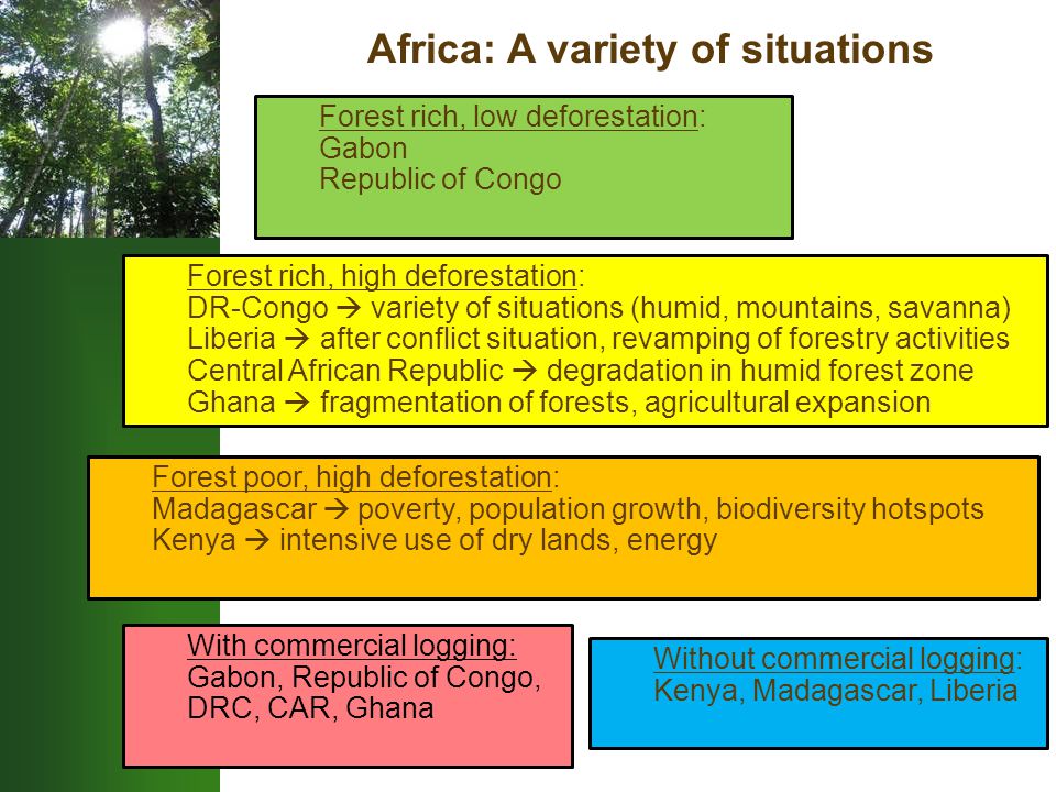 Africa: A variety of situations Forest rich, low deforestation: Gabon Republic of Congo Forest rich, high deforestation: DR-Congo  variety of situations (humid, mountains, savanna) Liberia  after conflict situation, revamping of forestry activities Central African Republic  degradation in humid forest zone Ghana  fragmentation of forests, agricultural expansion Forest poor, high deforestation: Madagascar  poverty, population growth, biodiversity hotspots Kenya  intensive use of dry lands, energy With commercial logging: Gabon, Republic of Congo, DRC, CAR, Ghana Without commercial logging: Kenya, Madagascar, Liberia