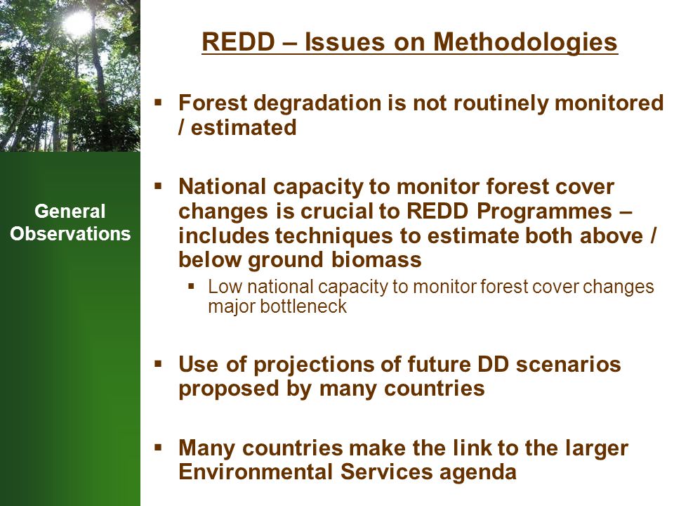 General Observations REDD – Issues on Methodologies  Forest degradation is not routinely monitored / estimated  National capacity to monitor forest cover changes is crucial to REDD Programmes – includes techniques to estimate both above / below ground biomass  Low national capacity to monitor forest cover changes major bottleneck  Use of projections of future DD scenarios proposed by many countries  Many countries make the link to the larger Environmental Services agenda