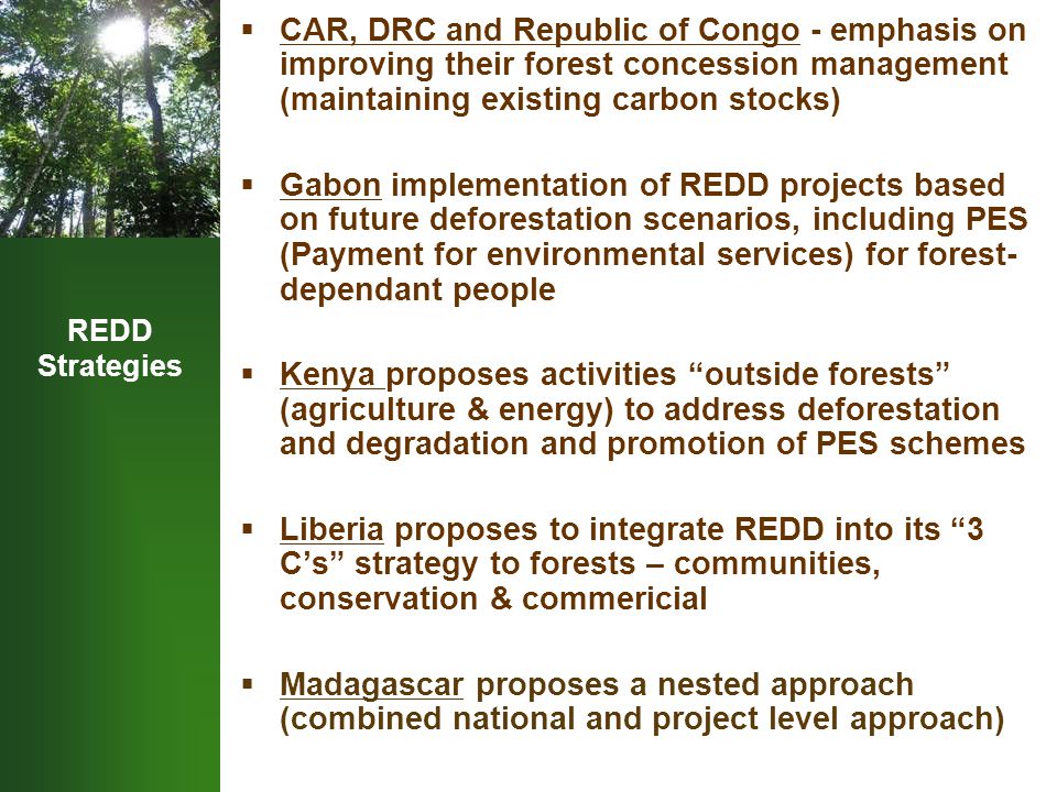 REDD Strategies  CAR, DRC and Republic of Congo - emphasis on improving their forest concession management (maintaining existing carbon stocks)  Gabon implementation of REDD projects based on future deforestation scenarios, including PES (Payment for environmental services) for forest- dependant people  Kenya proposes activities outside forests (agriculture & energy) to address deforestation and degradation and promotion of PES schemes  Liberia proposes to integrate REDD into its 3 C’s strategy to forests – communities, conservation & commericial  Madagascar proposes a nested approach (combined national and project level approach)