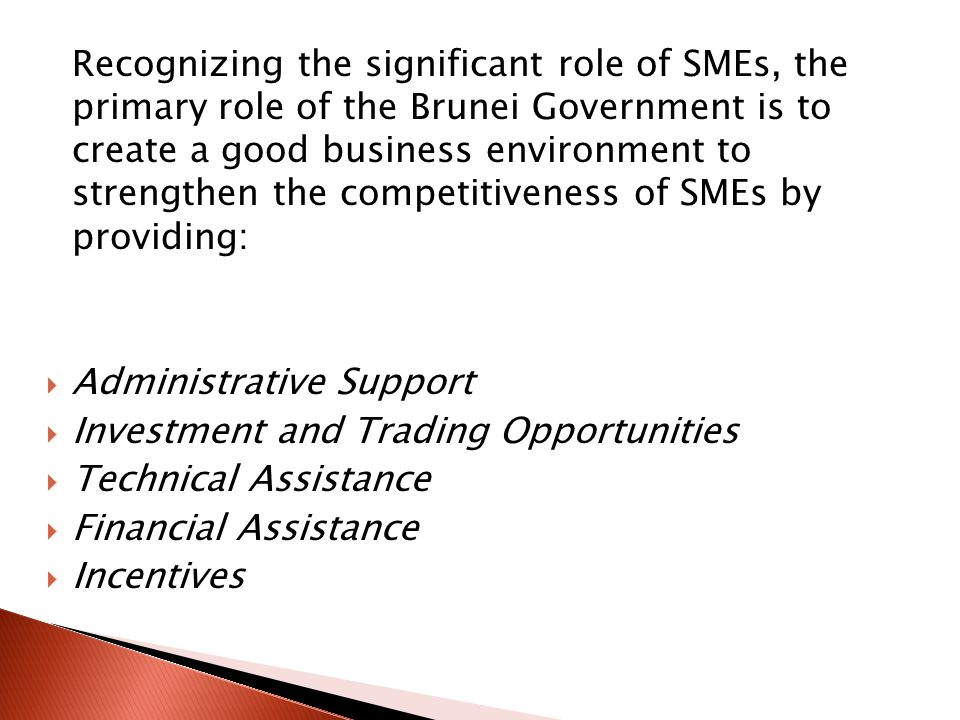 Recognizing the significant role of SMEs, the primary role of the Brunei Government is to create a good business environment to strengthen the competitiveness of SMEs by providing:  Administrative Support  Investment and Trading Opportunities  Technical Assistance  Financial Assistance  Incentives