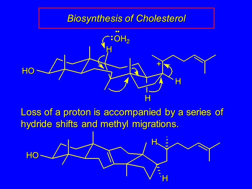 Biosynthesis of Cholesterol Loss of a proton is accompanied by a series of hydride shifts and methyl migrations.