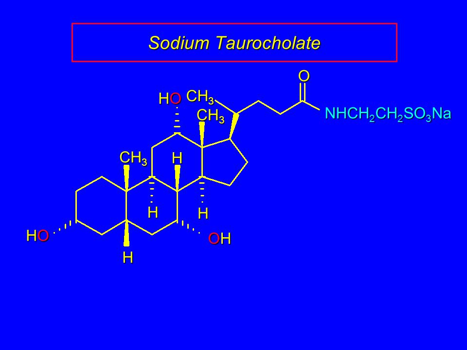 Sodium Taurocholate HOHOHOHO CH 3 H H H H OHOHOHOH HOHOHOHOO NHCH 2 CH 2 SO 3 Na