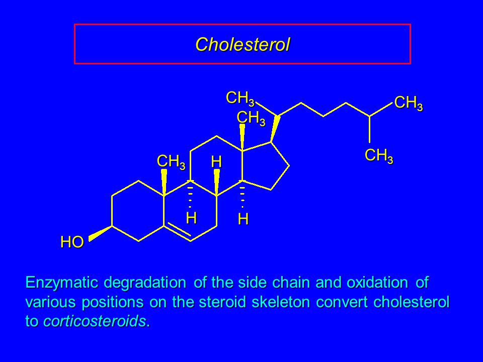 Cholesterol HO CH 3 H H H Enzymatic degradation of the side chain and oxidation of various positions on the steroid skeleton convert cholesterol to corticosteroids.