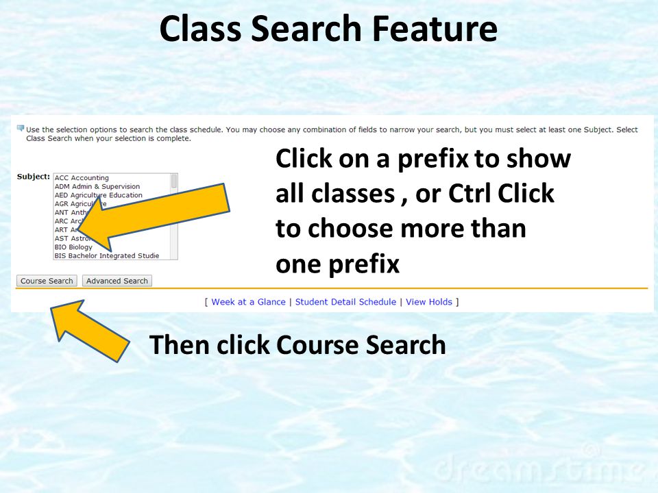 Class Search Feature Then click Course Search Click on a prefix to show all classes, or Ctrl Click to choose more than one prefix