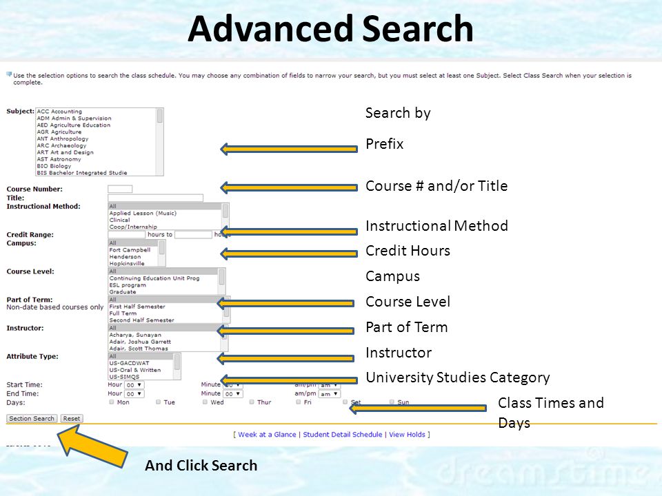 Search by Prefix Course # and/or Title Instructional Method Credit Hours Campus Course Level Part of Term Instructor University Studies Category Class Times and Days And Click Search