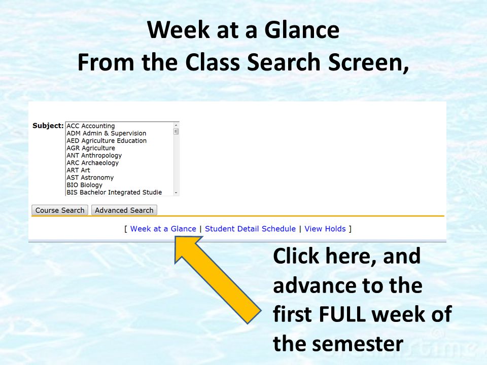 Week at a Glance From the Class Search Screen, Click here, and advance to the first FULL week of the semester
