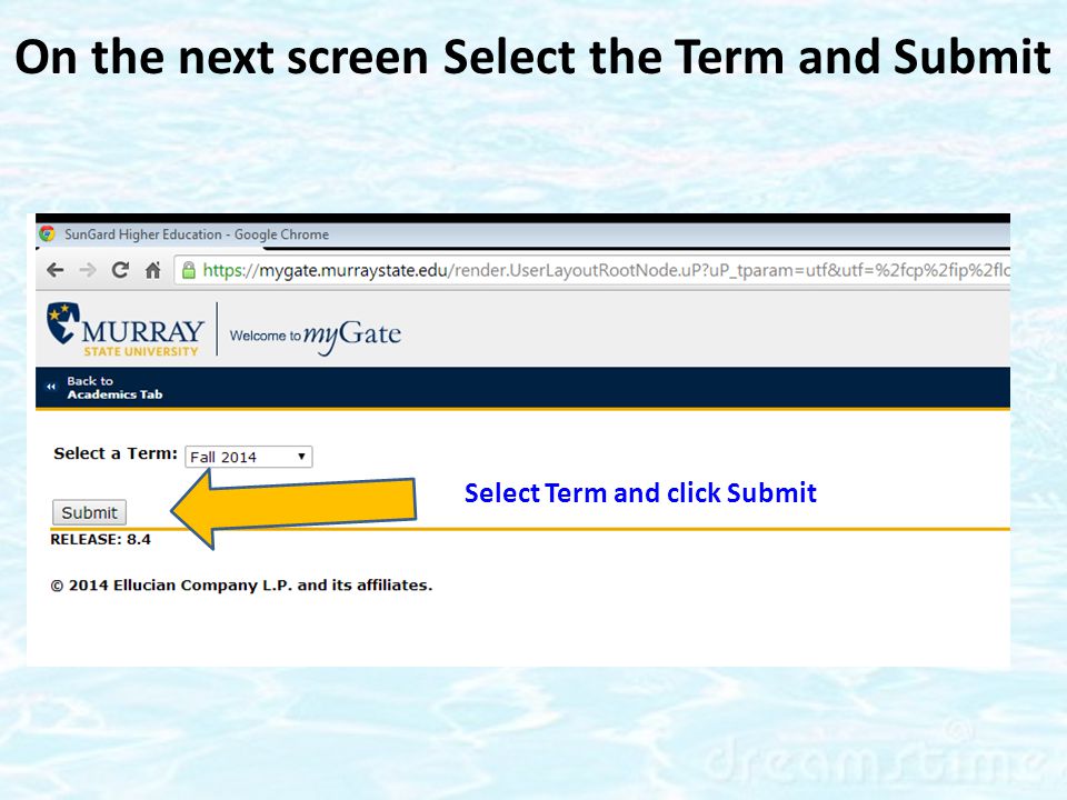 On the next screen Select the Term and Submit Select Term and click Submit