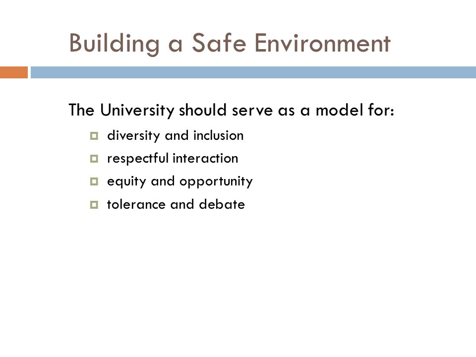 Building a Safe Environment The University should serve as a model for:  diversity and inclusion  respectful interaction  equity and opportunity  tolerance and debate