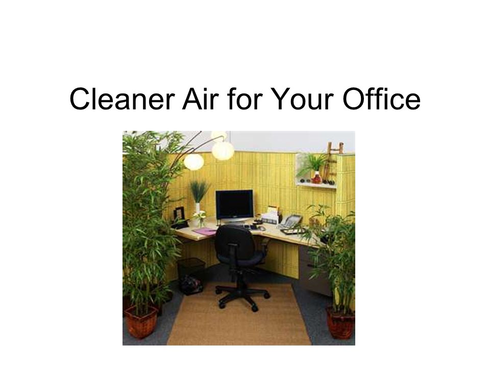 Cleaner Air for Your Office