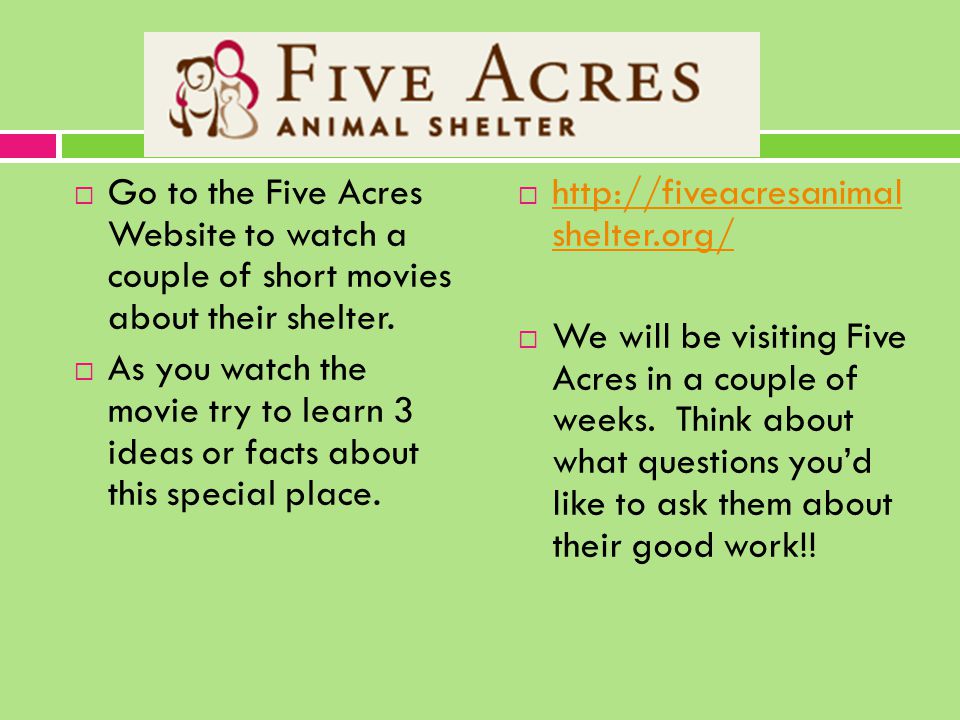  Go to the Five Acres Website to watch a couple of short movies about their shelter.