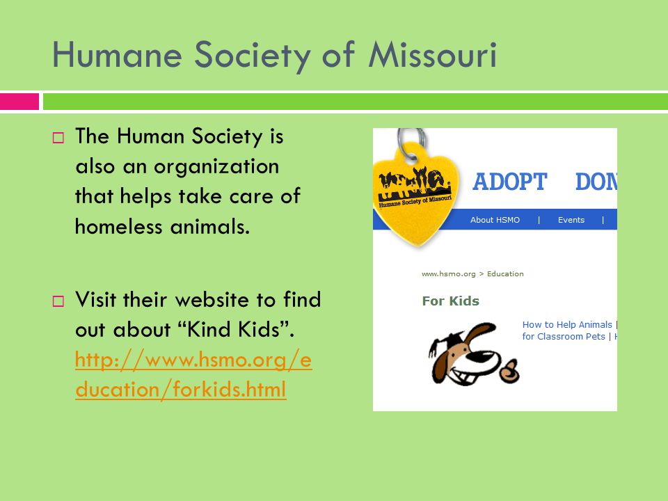 Humane Society of Missouri  The Human Society is also an organization that helps take care of homeless animals.