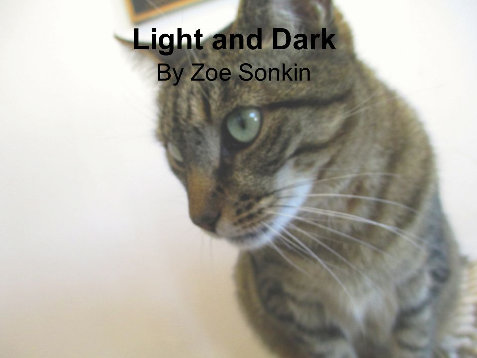 By Zoe Sonkin Light and Dark