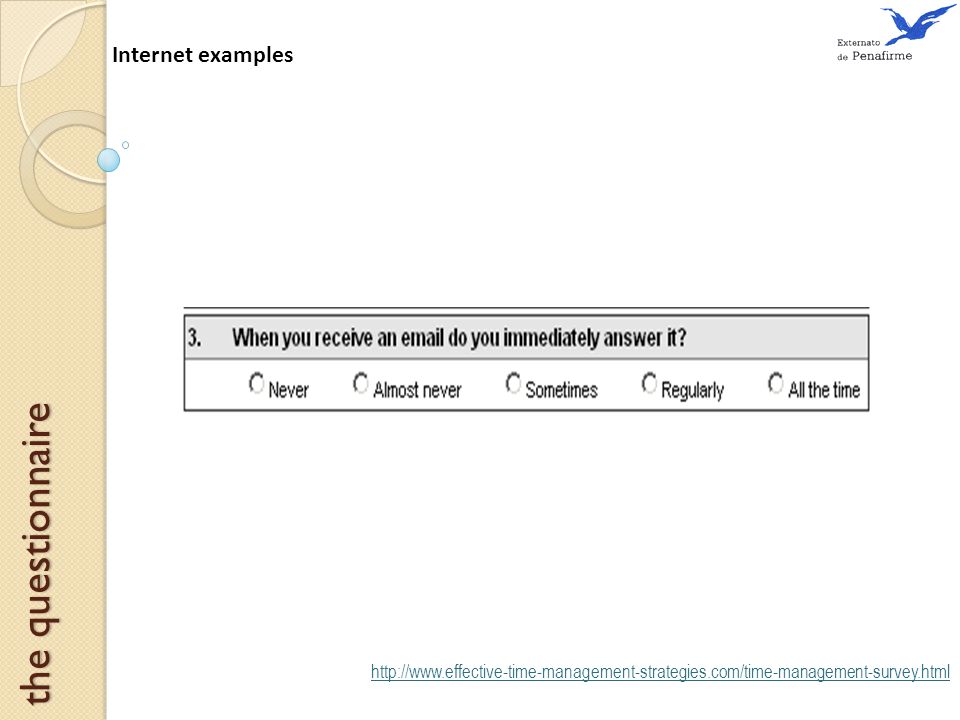 Internet examples the questionnaire