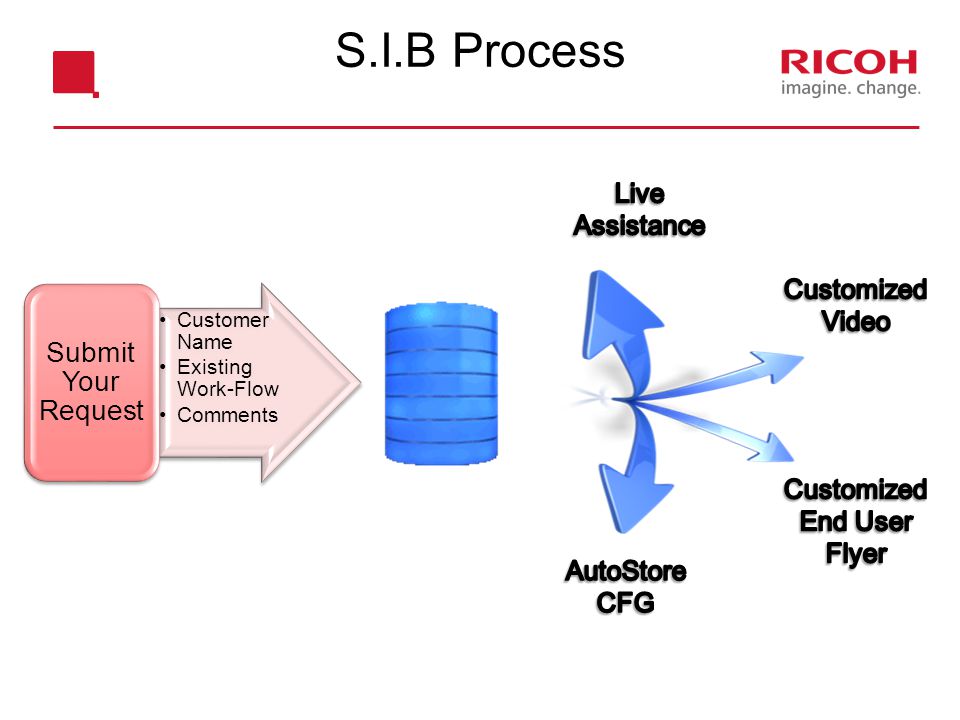 S.I.B Process