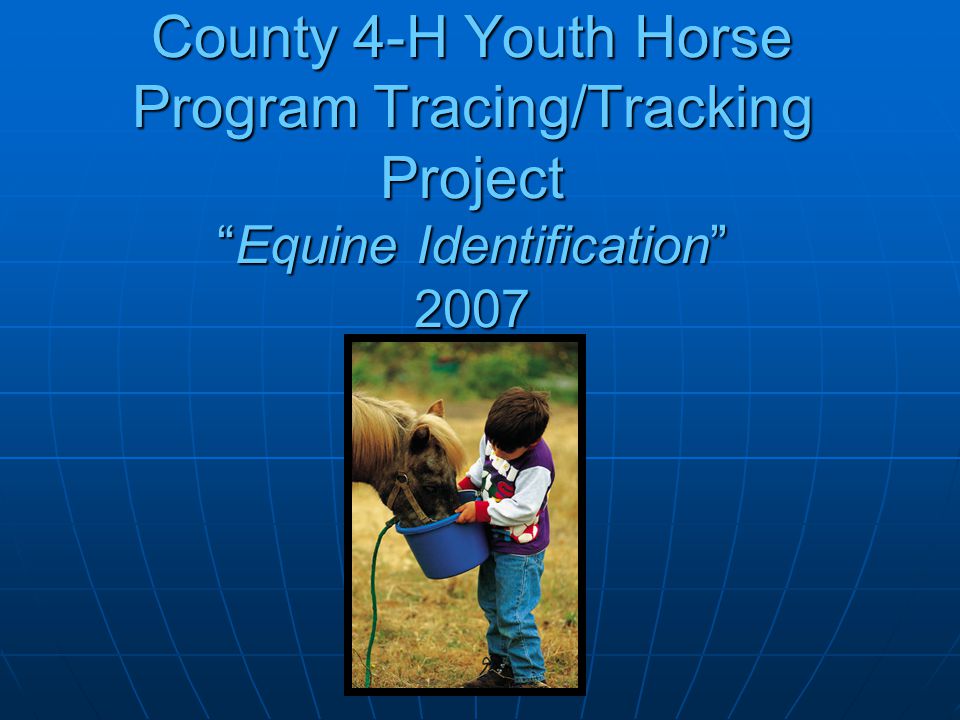 County 4-H Youth HorseProgram Tracing/Tracking Project Equine Identification 2007