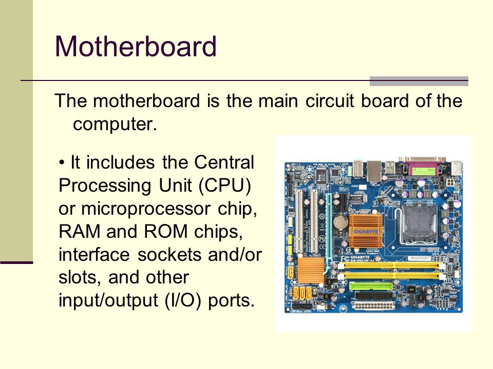 Motherboard The motherboard is the main circuit board of the computer.