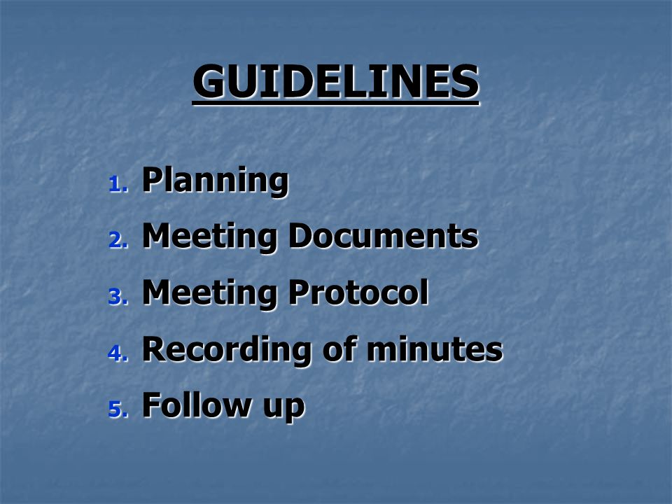 GUIDELINES 1. Planning 2. Meeting Documents 3. Meeting Protocol 4.