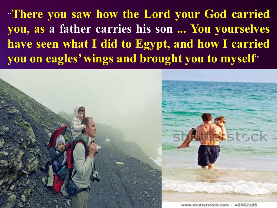 There you saw how the Lord your God carried you, as a father carries his son...