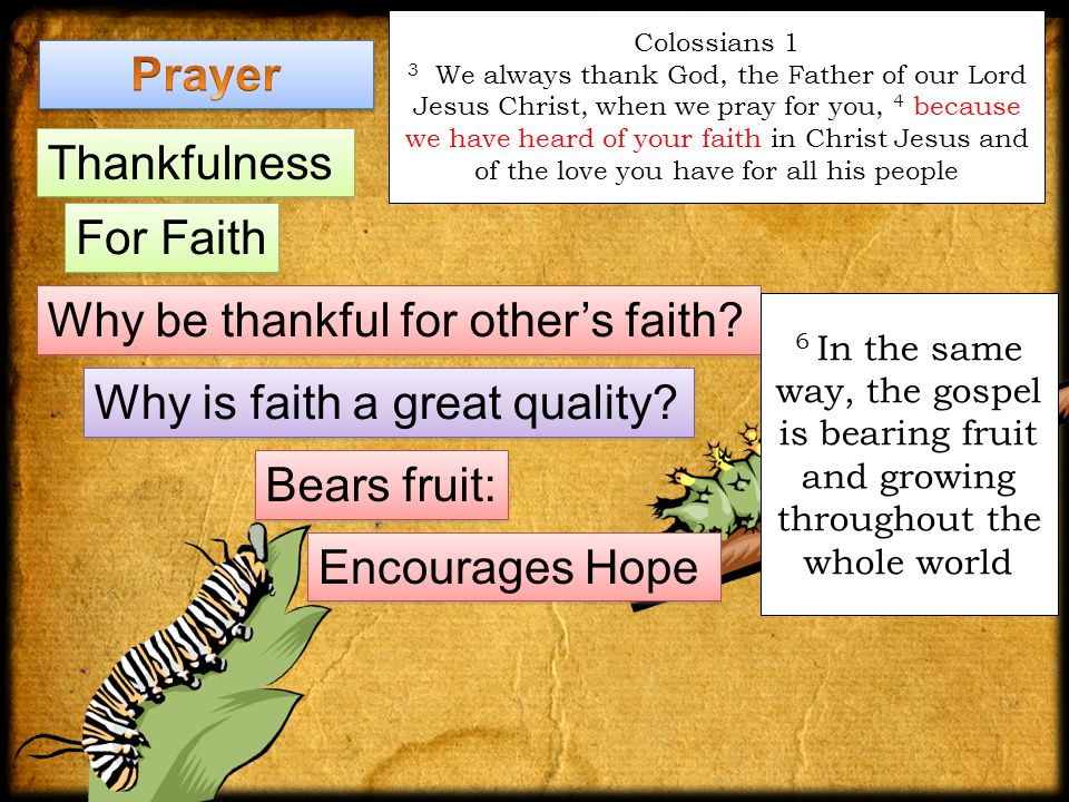 Colossians 1 3 We always thank God, the Father of our Lord Jesus Christ, when we pray for you, 4 because we have heard of your faith in Christ Jesus and of the love you have for all his people Thankfulness For Faith Why be thankful for other’s faith.