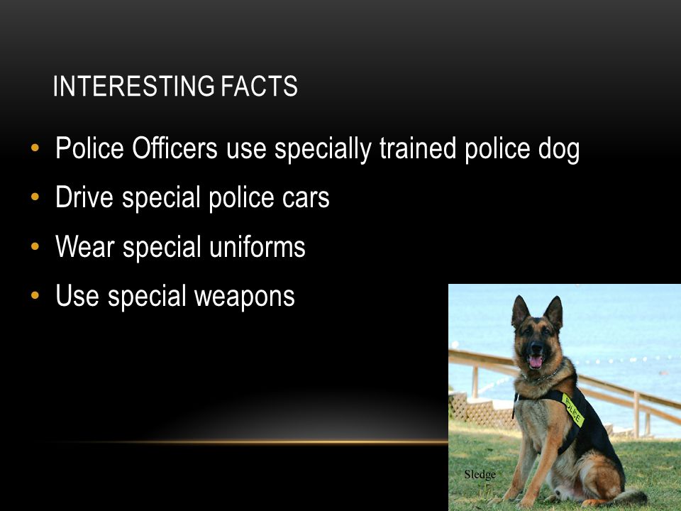 INTERESTING FACTS Police Officers use specially trained police dog Drive special police cars Wear special uniforms Use special weapons