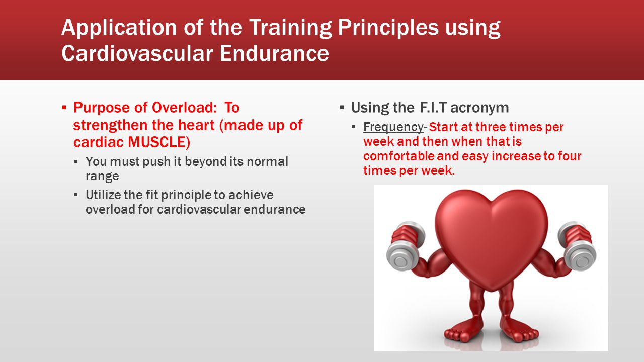 22  Why is cardiovascular endurance important in badminton for Beginner