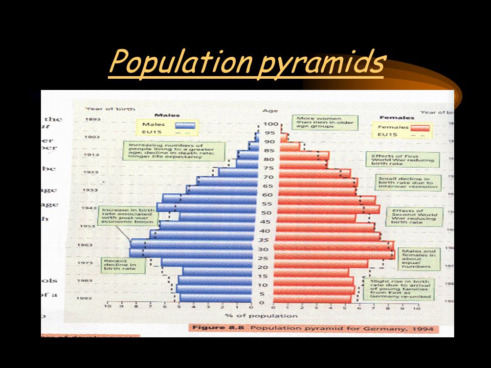 Population pyramids are useful because they show: Trends in the birth rate, death rate, infant mortality rate and life expectancy - these trends can help a country to plan its future services, e.g.