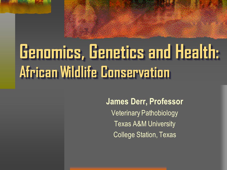 Genomics, Genetics and Health: African Wildlife Conservation James Derr, Professor Veterinary Pathobiology Texas A&M University College Station, Texas