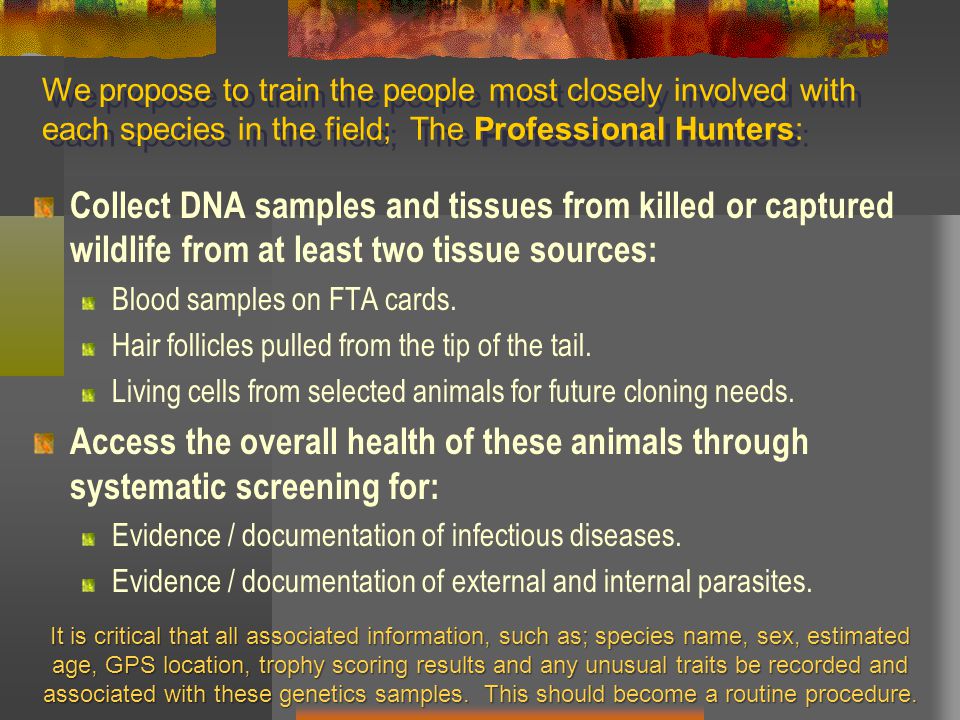 We propose to train the people most closely involved with each species in the field; The Professional Hunters: Collect DNA samples and tissues from killed or captured wildlife from at least two tissue sources: Blood samples on FTA cards.
