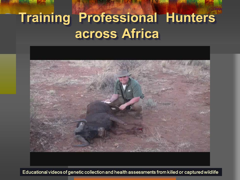 Training Professional Hunters across Africa Educational videos of genetic collection and health assessments from killed or captured wildlife