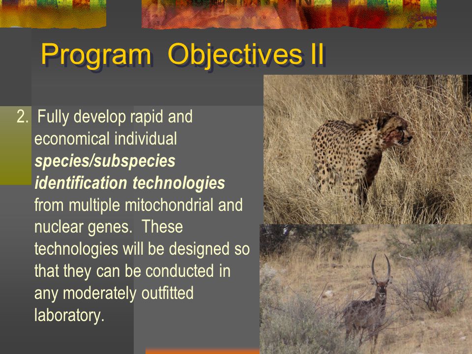 Program Objectives II 2.
