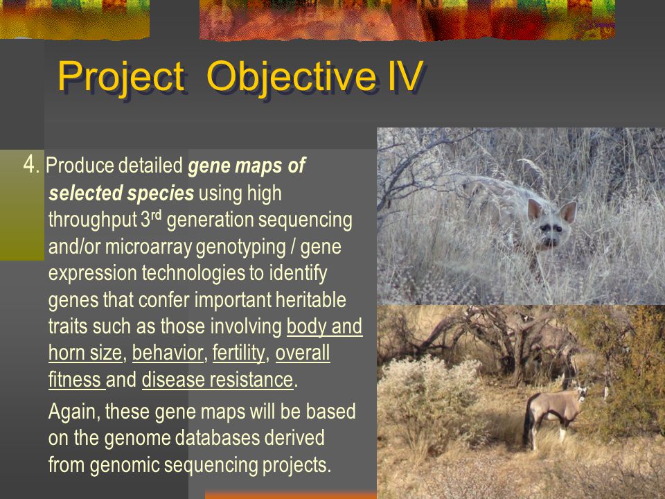 Project Objective IV 4.