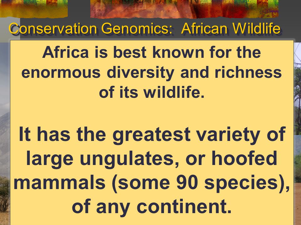 Conservation Genomics: African Wildlife Africa is best known for the enormous diversity and richness of its wildlife.