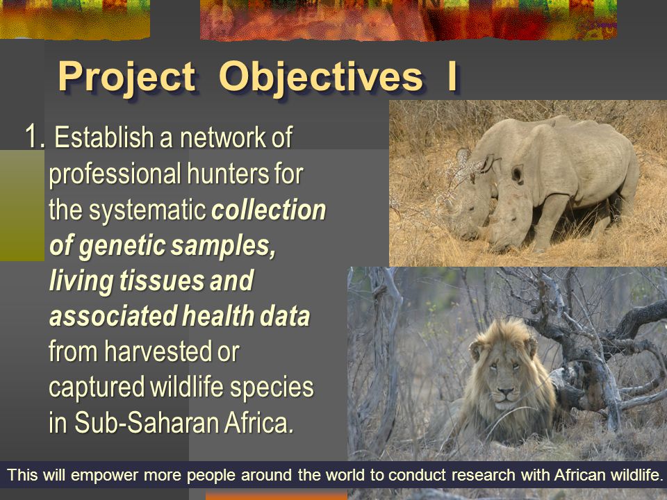 Project Objectives I 1.