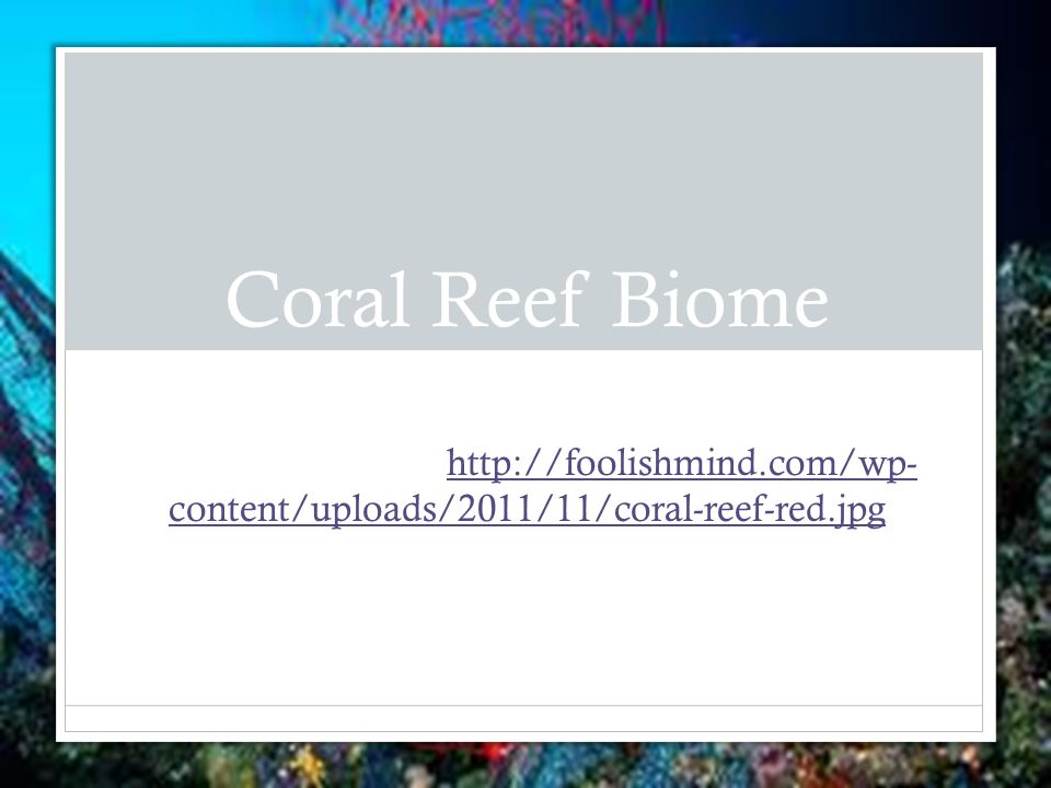 Coral Reef Biome By: Tatiana Smith Background of this slide   content/uploads/2011/11/coral-reef-red.jpg   content/uploads/2011/11/coral-reef-red.jpg