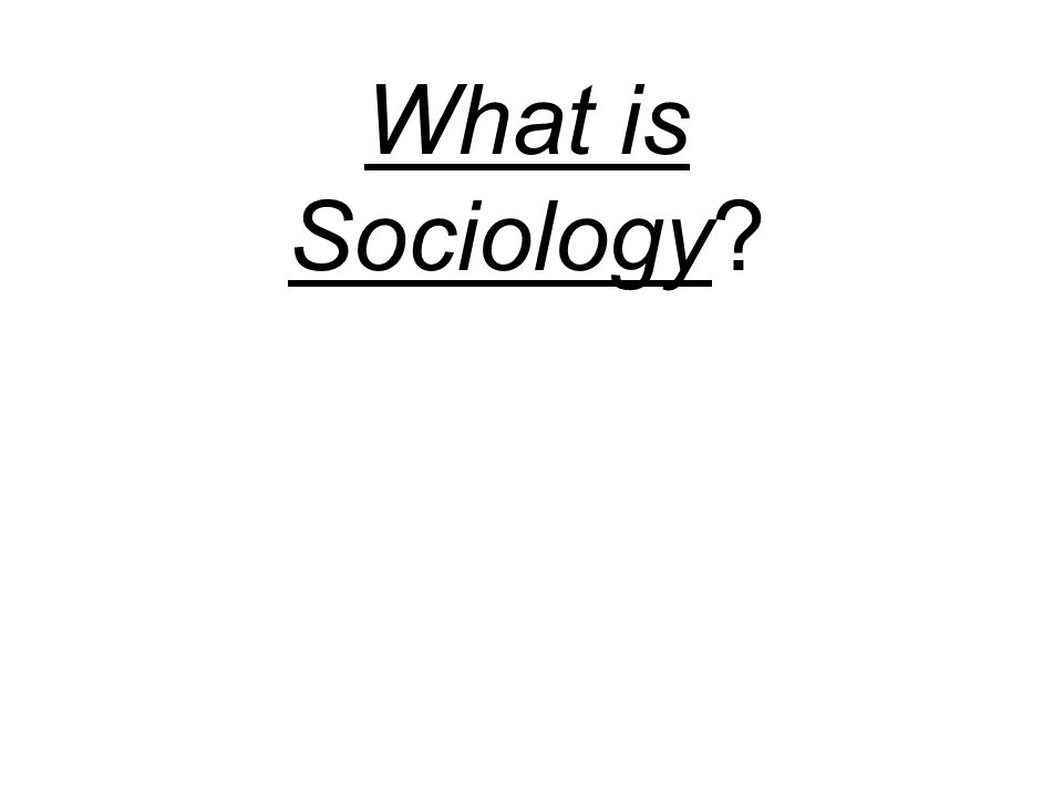 What is Sociology
