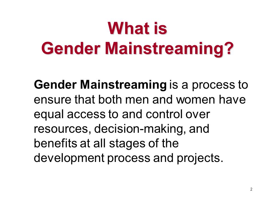What is Gender Mainstreaming.