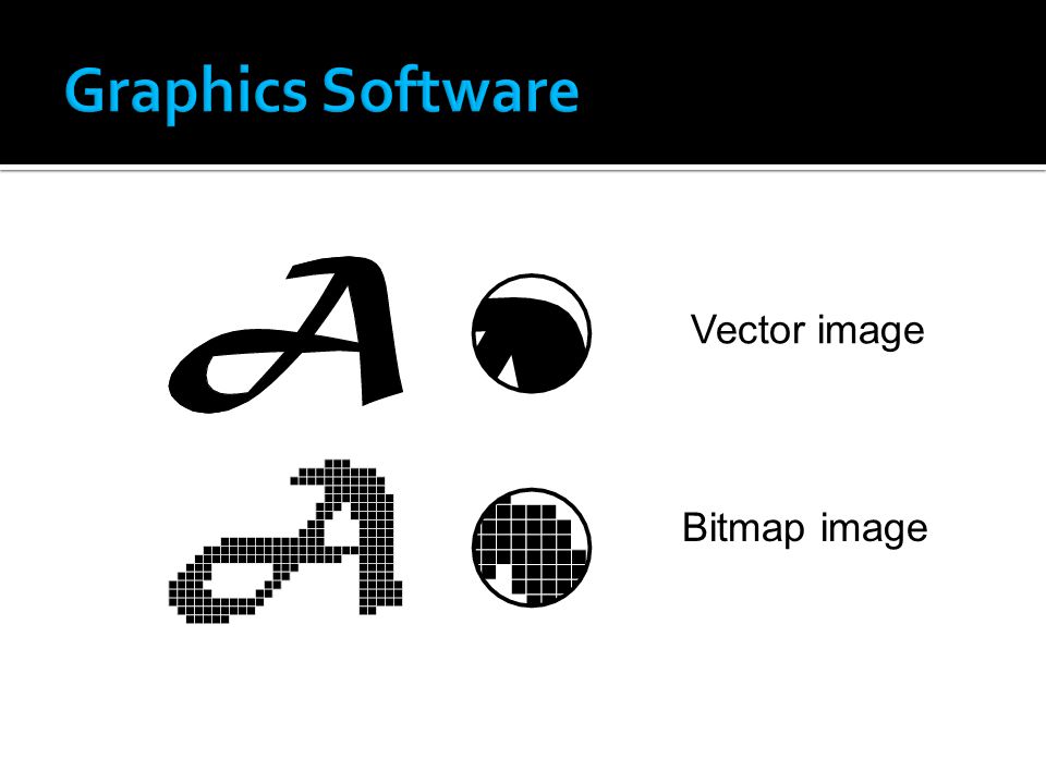 Vector image Bitmap image