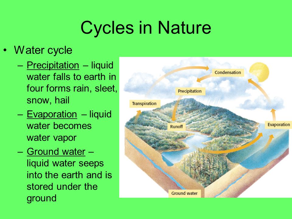 CYCLES OF MATTER Matter is anything that has mass and occupies space Certain types of matter is constantly reused and recycled in nature Examples studied in 7 th grade: –Water –Carbon –Nitrogen