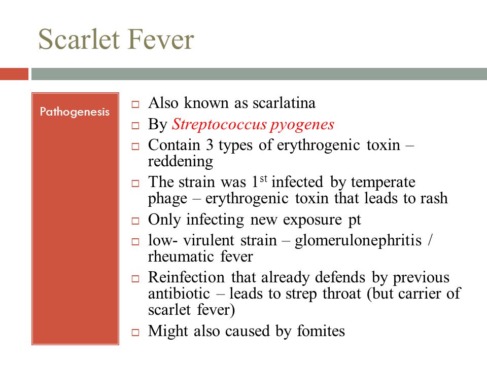 Scarlet Fever Pathogenesis  Also known as scarlatina  By Streptococcus pyogenes  Contain 3 types of erythrogenic toxin – reddening  The strain was 1 st infected by temperate phage – erythrogenic toxin that leads to rash  Only infecting new exposure pt  low- virulent strain – glomerulonephritis / rheumatic fever  Reinfection that already defends by previous antibiotic – leads to strep throat (but carrier of scarlet fever)  Might also caused by fomites