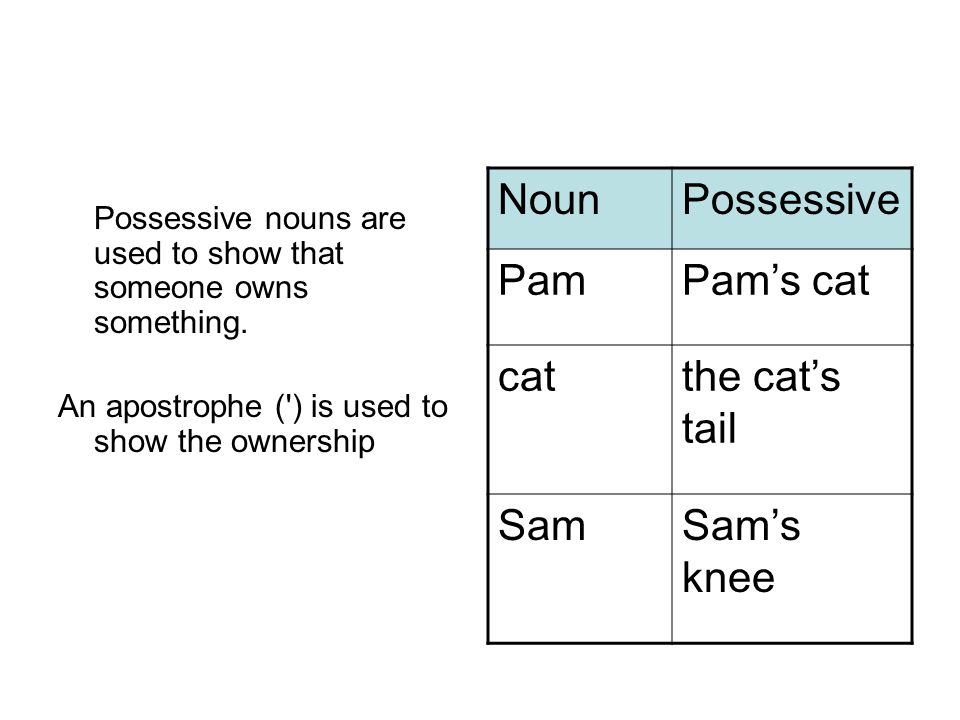 Possessive nouns are used Possessive nouns are used to show that someone owns something.