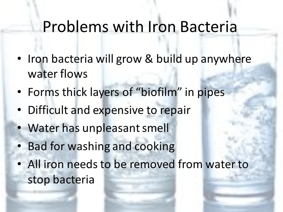 Problems with Iron Bacteria Iron bacteria will grow & build up anywhere water flows Forms thick layers of biofilm in pipes Difficult and expensive to repair Water has unpleasant smell Bad for washing and cooking All iron needs to be removed from water to stop bacteria