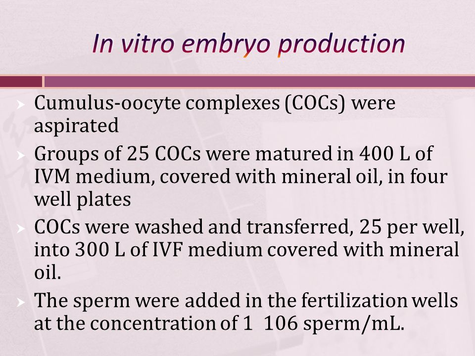  Cumulus-oocyte complexes (COCs) were aspirated  Groups of 25 COCs were matured in 400 L of IVM medium, covered with mineral oil, in four well plates  COCs were washed and transferred, 25 per well, into 300 L of IVF medium covered with mineral oil.