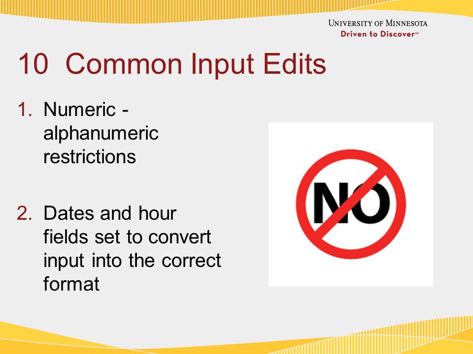 10 Common Input Edits 1.Numeric - alphanumeric restrictions 2.Dates and hour fields set to convert input into the correct format