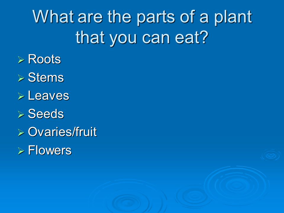 What are the parts of a plant that you can eat.