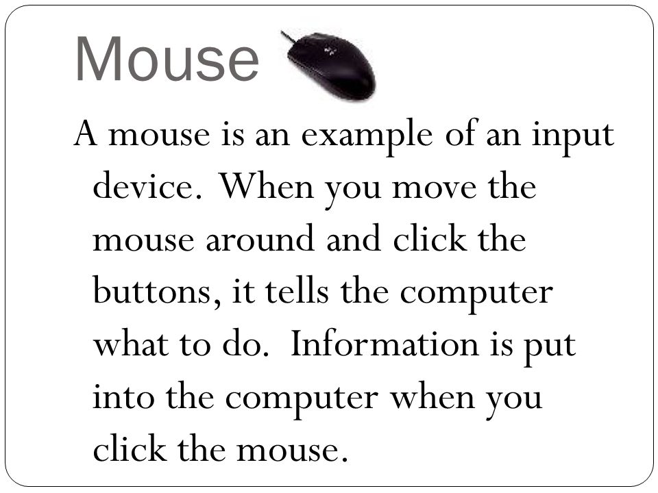 Mouse A mouse is an example of an input device.