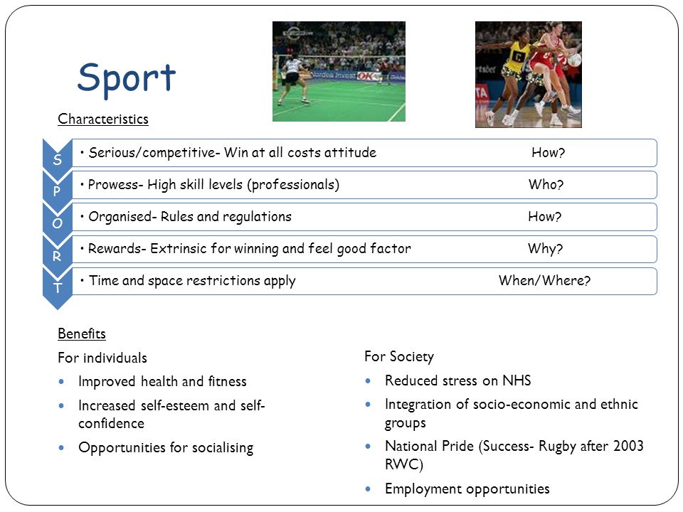 The characteristics of branch of sports